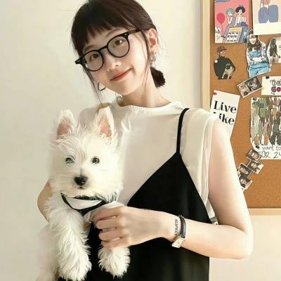 家中的战争
